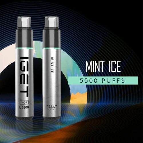IGET Nicotine Vapes - Mint Ice